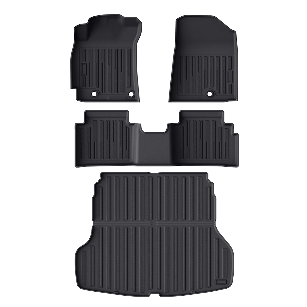 Forte (19-24)